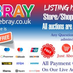 PREMIUM DOMAIN FOR SALE www.ebray.co.uk Offers round about £10 million pounds